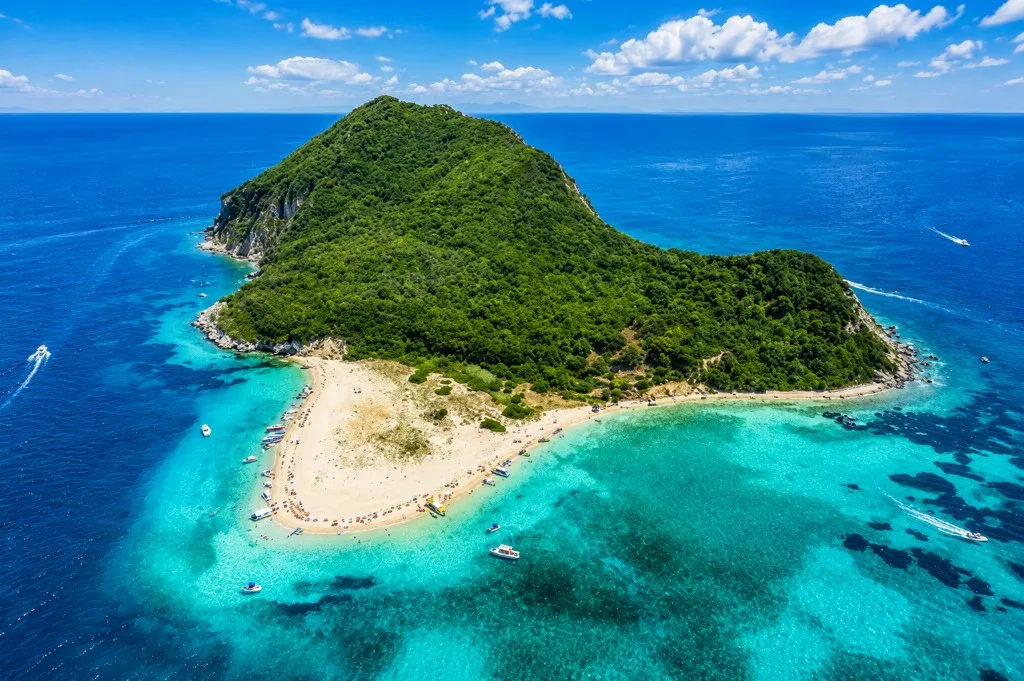 Havskildpadde svømmer i Zakynthos